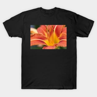 Orange Day Lily T-Shirt